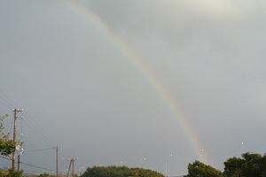 DSC_0662.jpg
