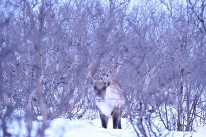 DSC_6875.jpg