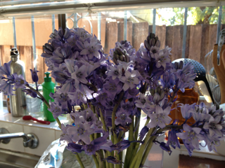 image-20121001062439.png