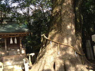 image-20121223200704.png