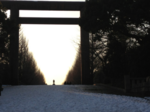 iphone/image-20130117081007.png