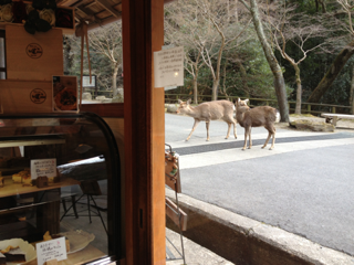 image-20130126185125.png